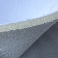 Tissu tissé intérieur adhésif éponge 100% Polyester pour toit de voiture/plafond canapé/chaussures/literie rembourrage éponge tricoté Composite
