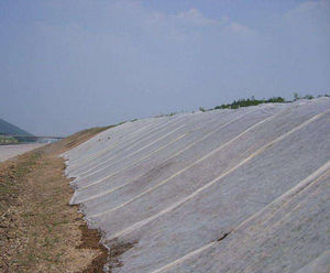 Tissu non tissé en polypropylène 100% pour l'emballage des fleurs, tissu pour protéger les plantes des gelées d'hiver - Product Image 2