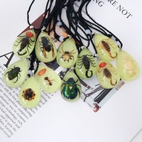Collier en résine transparente tendance qui brille dans le noir, insecte naturel, ambre