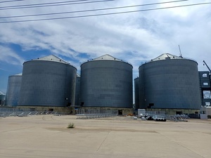500 Ton 800 Tons Silos de almacenamiento Silos de metal Silo de almacenamiento de granos Maíz 2500t - Product Image 6