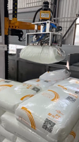 Déspalettiseur automatique de granulés plastiques à grande vitesse, bras robotisé. PLC, 25-200 kg/sac, 80-120 sacs/h, Option anti-explosion, Chimique Grade