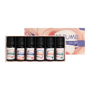 Usine Vente En Vrac 6 Parfums Diffuseur De Parfum 10ml Coffret Huiles Essentielles 100% Huile Essentielle Pure pour Cadeau Bougie De Fabrication De Parfum