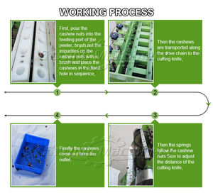 Machine de traitement atomique des noix de cajou machine à décortiquer les noix de cajou prix de la machine - Product Image 2