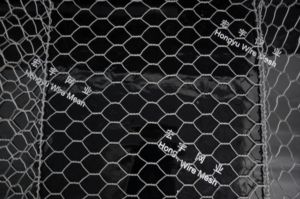 Prix compétitif pour les <span class=keywords><strong>gabions</strong></span> marins tissés, <span class=keywords><strong>gabions</strong></span> à vendre, prix des murs de <span class=keywords><strong>gabions</strong></span> - Product Image 5