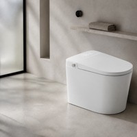 WC intelligent sans réservoir avec bidet intégré, couvercle à ouverture automatique, siège chauffant, nettoyage UV et télécommande