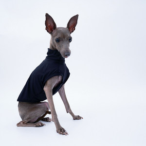 Chaleco <span class=keywords><strong>Deportivo</strong></span> YDC para Perros, para Todas las Estaciones, de Seda Helada, Ligero, de Alta Elasticidad, para <span class=keywords><strong>Galgo</strong></span> Italiano, Whippet y Bellington - Product Image 5