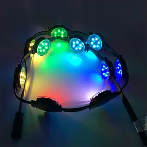 Meilleure qualité led pixel lumière parc d'attractions DC24V rgb rgbw source de lumière ponctuelle détachable pour la construction de paysages