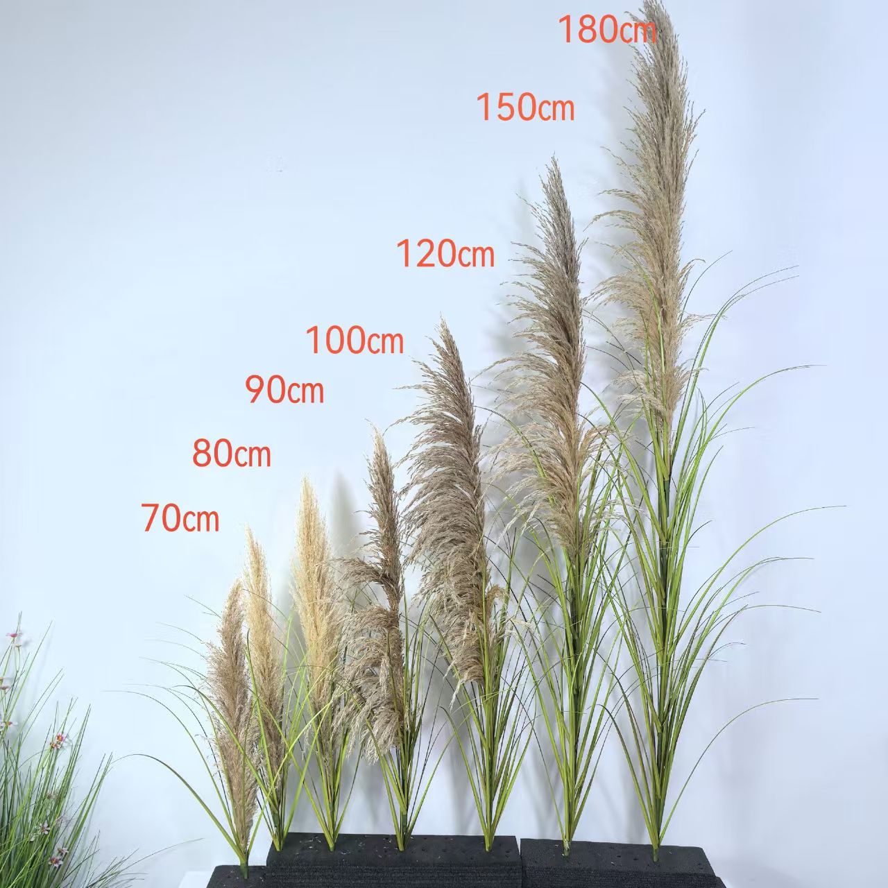 สไตล์ใบไม้สีเขียวในฤดูใบไม้ร่วงพร้อมหัวสีเทา