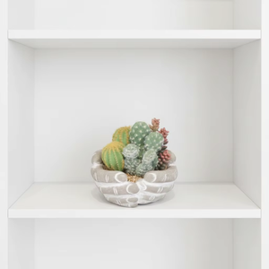 Mezcla <span class=keywords><strong>de</strong></span> <span class=keywords><strong>Cactus</strong></span> y Suculentas Artificiales en Maceta Texturizada, Decoración <span class=keywords><strong>de</strong></span> Desierto Artificial para el Hogar, Oficina, <span class=keywords><strong>Mesa</strong></span> Interior - Product Image 2