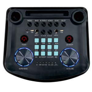 Loa Trầm Kép Siêu Trầm Đèn RGB Mới 2023 Loa Hộp Âm Thanh Dj 12 Inch - Product Image 4