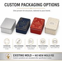 Caja Rectangular Personalizada para Galletas con Tapa, 140x100x60mm, Envase de Hojalata Apto para Alimentos, para Regalos de Panadería, Venta al Por Mayor