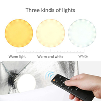 Kit d'éclairage photo professionnel en alliage d'aluminium avec boîte à lumière LED de qualité supérieure, support de toile de fond 2 x 3 m pour diffusion en direct et éclairage d'appoint