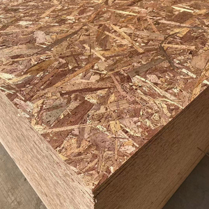 Personnalisable E0 Grade UV-Coated 12mm <span class=keywords><strong>OSB</strong></span> Board for Outdoor Furniture 18mm OEM Service disponible - Product Image 4
