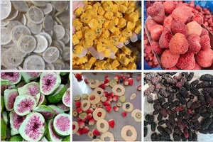 Lyophilisateur domestique Vicmai pour la transformation alimentaire, automatique et économe en énergie, en acier inoxydable SUS304, garantie 1 an - Product Image 6