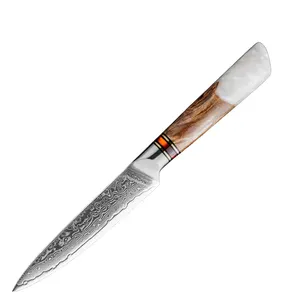 5 inch Damascus Utility Knife Japanese Knives for Kitchen High Carbon Stainless Steel Paring Knife Resin &Solidified Wood Handle