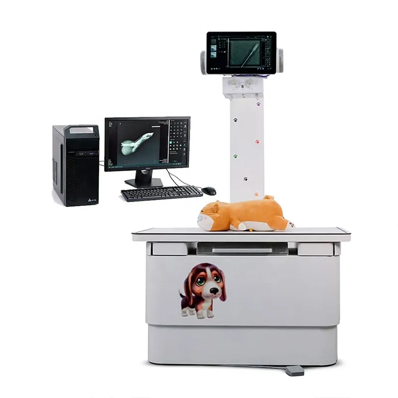 Veterinary Ray X 4KW High Frequency X-ray Machine 5kw Vet Xray Machine Price