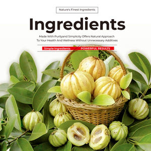 भूख के लिए प्रीमियम वजन घटाने के लिए वसा बर्नर और चयापचय और ऊर्जा समर्थन गार्सिनिया कैंबोगिया कैप्सूल - Product Image 5