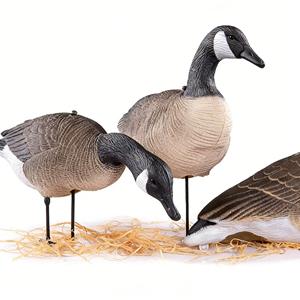 Décoy de canard canadien sur piquet, grandeur nature 1:1, motif tête noire et joues blanches, ornement de jardin, appât de chasse extérieur - Product Image 3