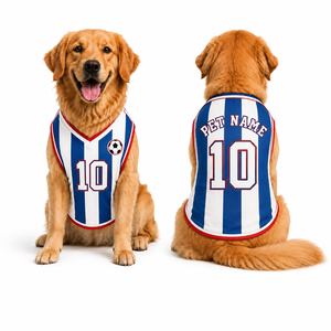 Chaleco para Perro de la Copa Mundial de Fútbol 2026, Logotipo del Equipo Nacional, Número del Jugador, Transpirable, para Todas las Estaciones, Ropa para Mascotas de Poliéster, Argentina - Product Image 1