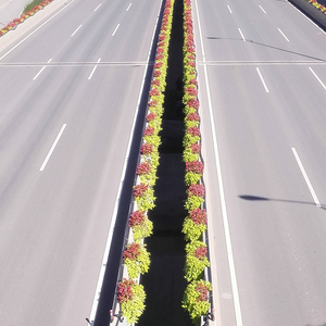 <span class=keywords><strong>Maceta</strong></span> de <span class=keywords><strong>Pvc</strong></span> <span class=keywords><strong>Maceta</strong></span> para exteriores <span class=keywords><strong>Maceta</strong></span> de plástico Macetas de plástico modernas blancas grandes para palé de pared de plantas - Product Image 4