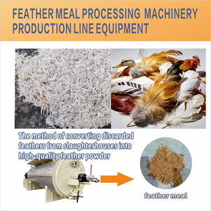Equipo <span class=keywords><strong>de</strong></span> Línea <span class=keywords><strong>de</strong></span> Producción Eficiente y <span class=keywords><strong>de</strong></span> Bajo Consumo para Convertir Plumas <span class=keywords><strong>de</strong></span> Pollo y Pato en Polvo <span class=keywords><strong>de</strong></span> Plumas Rico en Proteínas - Product Image 1