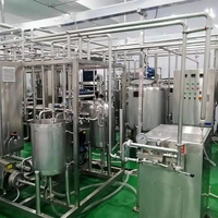 Usine de yaourt Machine de pasteurisation de yaourt entièrement automatique Petite ligne de production de yaourt grec laitier complète