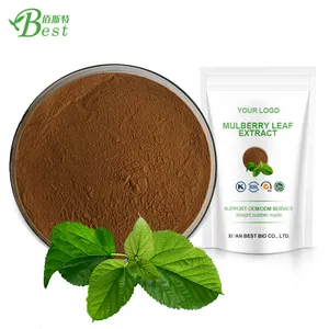 Natural pure Fresh Folium Mori/Mulberry Leaf Extract Powder