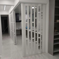 Porte d'entrée résidentielle double en polycarbonate, porte pliante, feuille résistante aux UV, porte commerciale légère