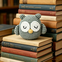 Kit de crochet amigurumi hibou mignon fait main DIY, jouet en tricot, kit d'artisanat de décoration intérieure pour débutants avec fil et outils