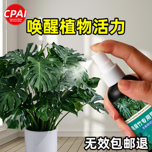 Solution nutritive Cpai Monstera Deliciosa 100ml, pulvérisation sans dilution, engrais foliaire - Product Image 4