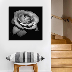 Fiori di rosa bianca decorazione floreale <span class=keywords><strong>arte</strong></span> della parete della tela stampa originale decorazione unica <span class=keywords><strong>fotografia</strong></span> in bianco <span class=keywords><strong>e</strong></span> nero - Product Image 6