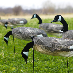 Bán buôn thực tế PE nhựa windsock mồi ngoài trời săn bắn tất cả các loại Canada Ngỗng Vỏ tất cả các loại - Product Image 1
