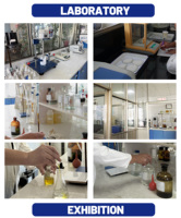 Revêtement imperméable transparent pour murs extérieurs et toitures, mastic acrylique écologique pour rebords de fenêtre – Approvisionnement direct usine