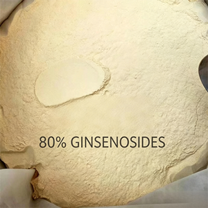 Extracto de Ginseng Rojo Coreano en Polvo, Ginsenoside 5%-80%, Extracto de Ginseng en Polvo, Extracto de Ginseng Rojo Coreano - Product Image 1