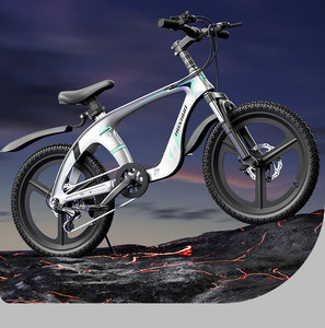 18/20インチ可変速デュアルディスクブレーキ衝撃吸収自転車マグネシウム合金子供用マウンテンバイク - Product Image 1