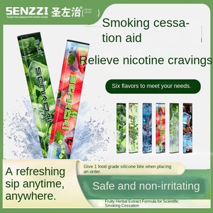 Gadget Anti-Età e Anti-Fumo di Saint Zuo, Substituto del Fumo a Base Vegetale, Filtro Riutilizzabile Han Palace - Product Image 2