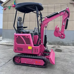 <span class=keywords><strong>Mini</strong></span> máy xúc 1000kg 1 tấn nhỏ Digger CE EPA chứng nhận miễn phí vận chuyển Bagger động cơ nhà sử dụng trên bán - Product Image 2
