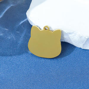 Pendentifs de mode en acier inoxydable, étiquette d'identification pour animaux de compagnie, étiquette de suivi pour chat, <span class=keywords><strong>gourde</strong></span> pour gravure au laser, logo personnalisé, pendentif fin - Product Image 6