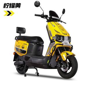 Moto électrique de tourisme pour adultes 48V60V 1000W avec moteur sans balais, vitesse maximale de 70 km/h - Product Image 1