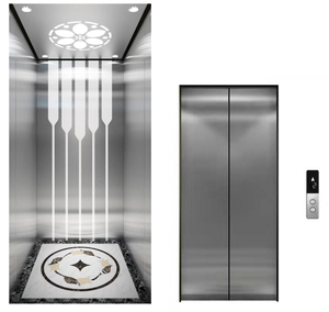 <span class=keywords><strong>Precio</strong></span> barato Ascensor <span class=keywords><strong>para</strong></span> personas discapacitadas Ascensor doméstico 3/4 pisos Ascensor de pasajeros residencial comercial simple - Product Image 2