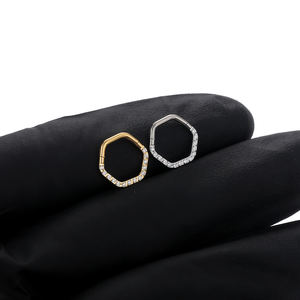 Moda implante grado titanio alta calidad precisión con bisagras hexágono segmento anillo nariz tabique <span class=keywords><strong>Piercings</strong></span> con circón - Product Image 4