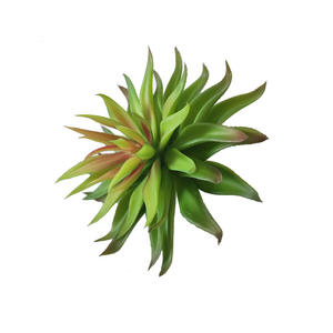 Plantes succulentes artificielles, feuilles de chrysanthème en colle souple simulée, succulentes, accessoires de photographie DIY, fleurs d'intérieur, bonsaï - Product Image 4