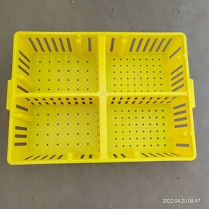 กล่องขนส่งลูกไก่แรกเกิด กล่องพลิกตัวลูกไก่ กล่องพลาสติกสำหรับขนส่งลูกไก่ - Product Image 2