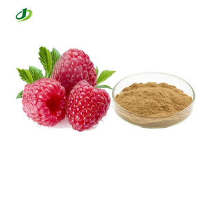 라즈베리 케톤 추출물 분말 라즈베리 추출물 프럭투스 루비 과일 추출물 - Product Image 1