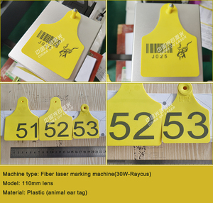 Máquina <span class=keywords><strong>de</strong></span> Marcado Láser <span class=keywords><strong>de</strong></span> Fibra Raycus 30W para Anillos <span class=keywords><strong>de</strong></span> Paloma y Joyería con Rotatorio - Product Image 6