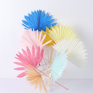 Centre de table floral grande feuille de <span class=keywords><strong>palmier</strong></span> feuilles de <span class=keywords><strong>palmier</strong></span> séchées feuilles de <span class=keywords><strong>palmier</strong></span> conservées - Product Image 5