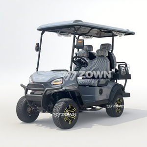 Creative Design Low Prices 2 Seater Electric Golf Cart 48V Lithium Battery with Controller & CE <b>Certification</b> - Product Image 6