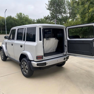 Nuevo Vehículo Eléctrico de Baja Velocidad Modelo Seagull 2026, Coche Eléctrico de Cuatro Ruedas de Nueva Energía, Sedán Eléctrico de Alta Gama para Movilidad de Personas Mayores - Product Image 1