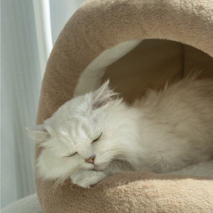 Cama de Lujo para Gatos, Diseño de Oso, de Espuma Sólida Rectangular, Ecológica, con Cojín Extraíble, para Interiores, Tamaño Pequeño - Product Image 4