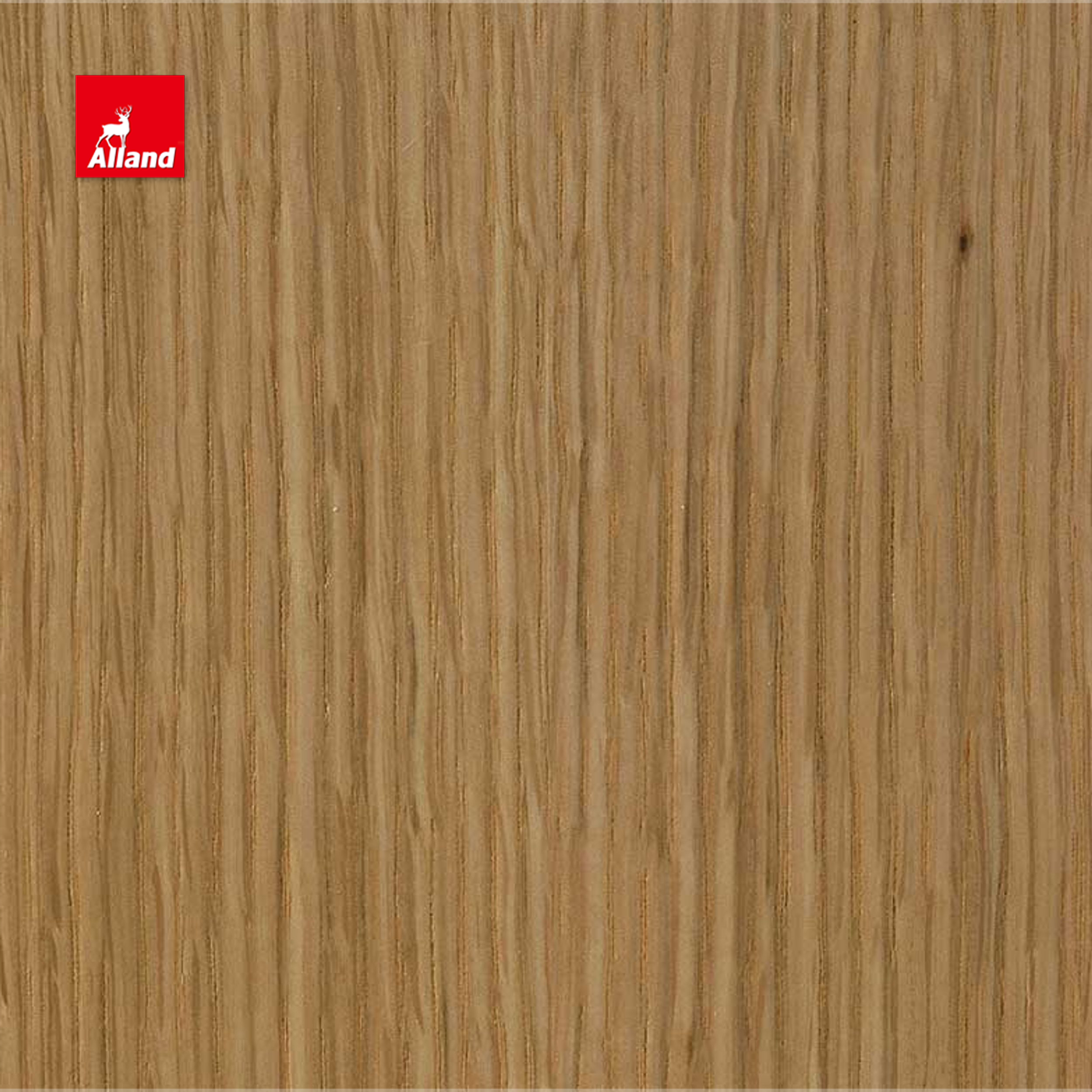 White oak medium stained 6
